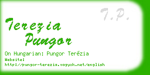 terezia pungor business card